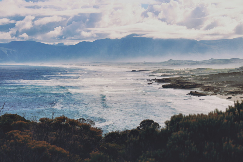 environment, day, clouds, de kelders, view, 5K, south africa, plant, sea, no people, rocks, nature, tree, land, fresh, explore, morning, dew, outdoors