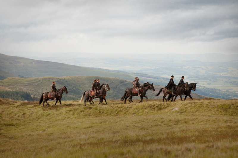 group of animals, animal wildlife, riding, activity, ride, da vincis demons, outdoors, horseback riding, animal, group of people, cowboy, environment, landscape