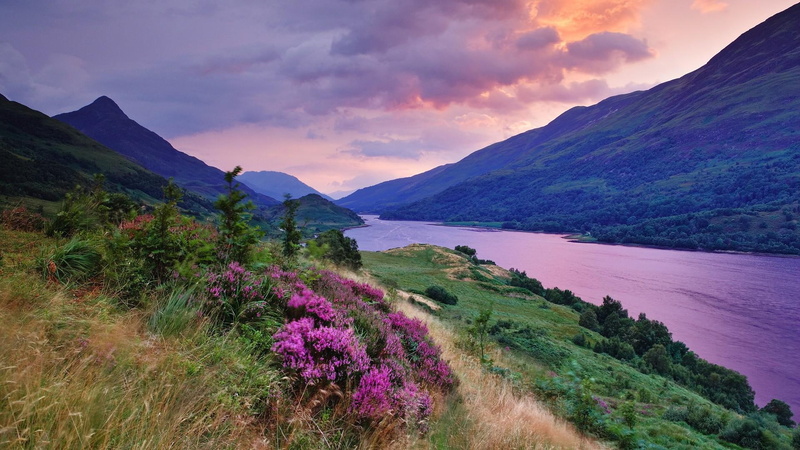 mountains, scottish, river, clouds, color, 1080P, flowers, glorious, pink, highl, nature and landscapes