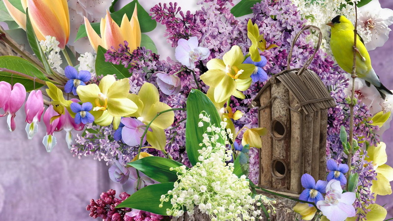 lilacs, tulips, bright, goldfinch, glorious, lily of the valley, summer, bird, 3d, bird house, 1080P, bleeding hearts