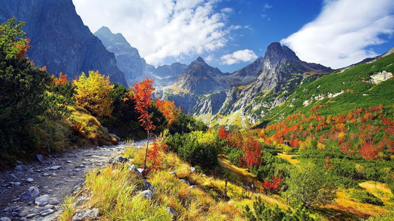 lscape, mountain, nature and landscapes, trail, glorious, mountains, 1080P, range, valley, trees