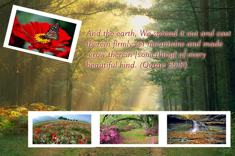 qur, eart, note, butterfly, forest, 3d and abstract, verse, 1080P, flower, sunshine, spread, waterfall, glorious