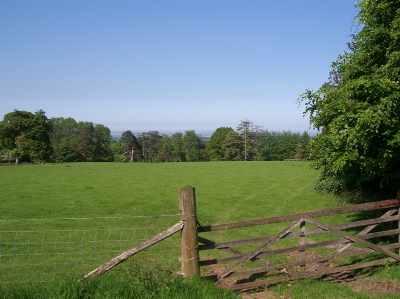 farmland, scenery, rural, country, gate, tranquil scene, meadow, day, farm, fence, north downs, sittingbourne, grass, countryside, agriculture, footpath