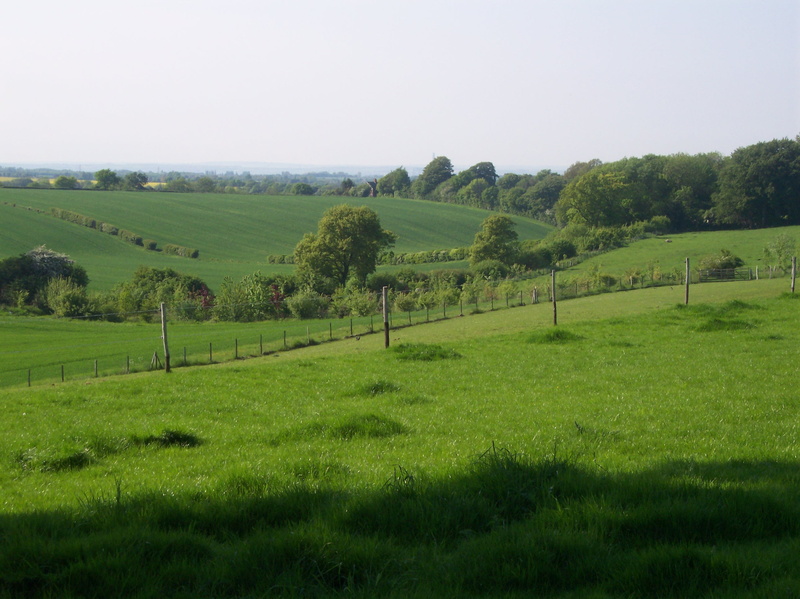 rural scene, landscape, country, tranquil scene, environment, tranquility, day, woodland, wood, farm, scenics - nature, trees, rural, meadow, tree, rolling landscape