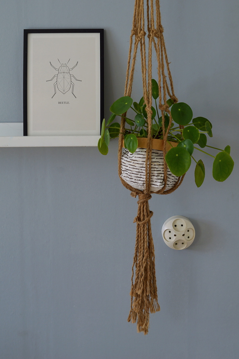indoors, decoration, hanging, wall - building feature, craft, still life, art and craft, leaf, representation, home interior, green, gray, 4K, wall, ivy