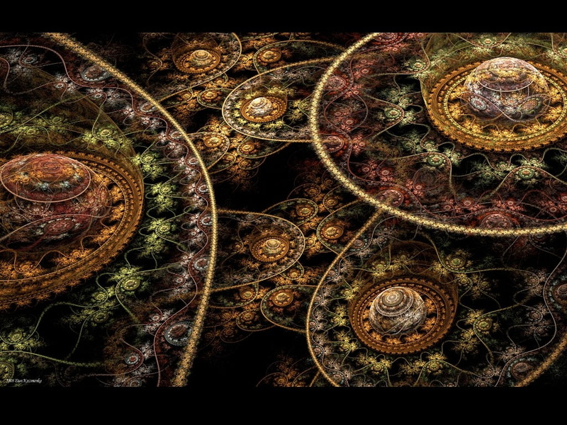 directly above, close-up, no people, indoors, transfer print, spiral, rusty, nature, metal, leaf, tree, growth, full frame, fragility, vulnerability, plant