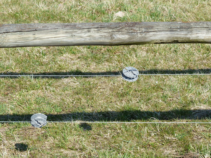 time, electric fence, no people, wood - material, wire, fence, nature, plant, metal, day, wire tensioner, fence system, high angle view, outdoors, protection