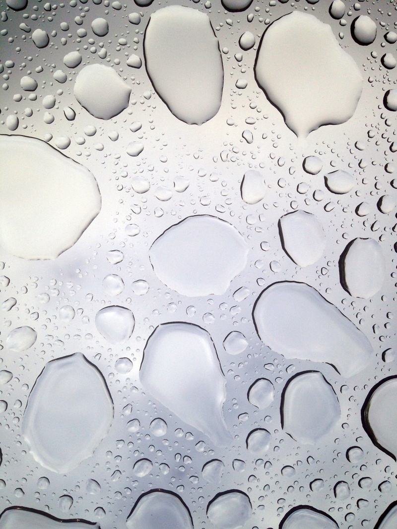 freshness, water feature, raindrop, drip, transparent, abstract, nature, 2K, close, full frame, backgrounds, mirroring, white color, drops of rain, pattern