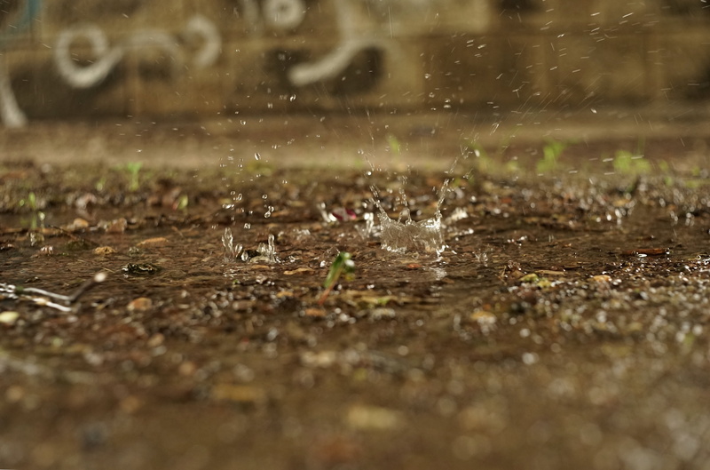 mud, selective focus, liquid, field, environment, close-up, no people, backgrounds, 5K, surface level, drip, nature, surface tension, rain, wet, land