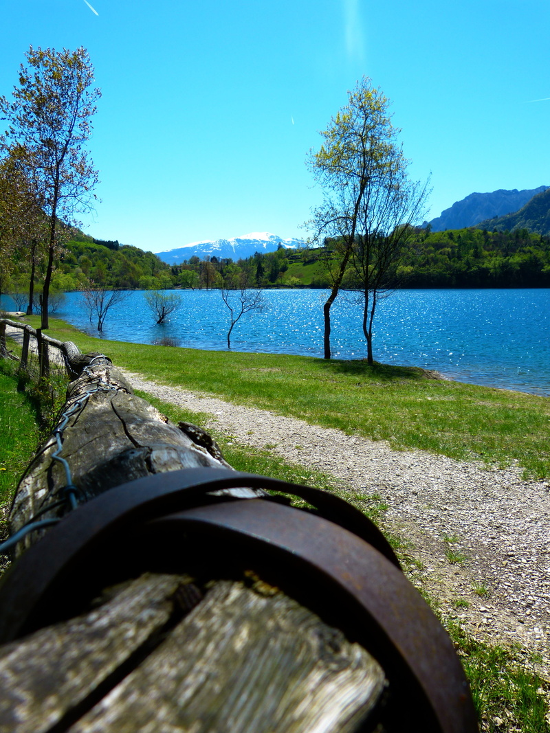 tree, trail, outdoors, sunlight, growth, trees, 4K, scenics - nature, sunny, lake, tranquility, blue, tranquil scene, nature, day, Away, water, clear sky