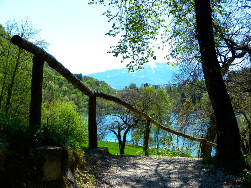 handrail, non-urban scene, trees, landscape, tranquil scene, day, tree, tenno lake, plant, near, growth, the way forward, tree trunk, footpath, scenics - nature