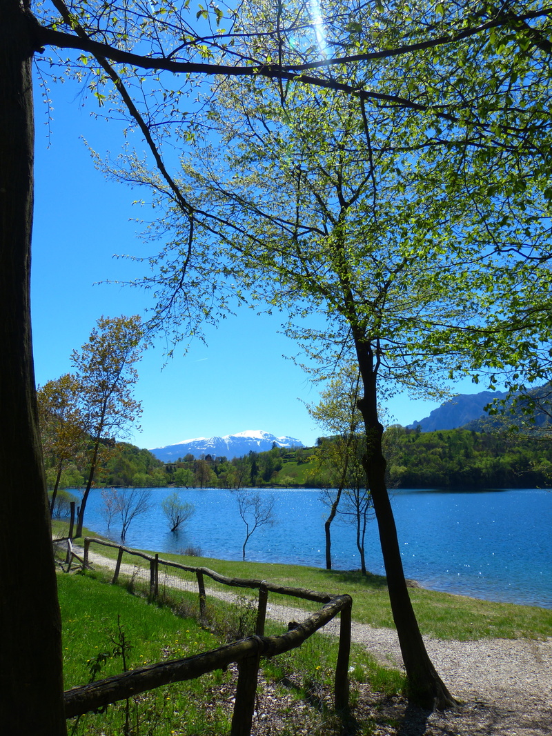 tenno lake, land, plant, tree, 4K, tranquil Scene, trees, grass, lake, sky, italy, trunk, tranquility, scenics, growth, day, branch, lago di tenno, landscape