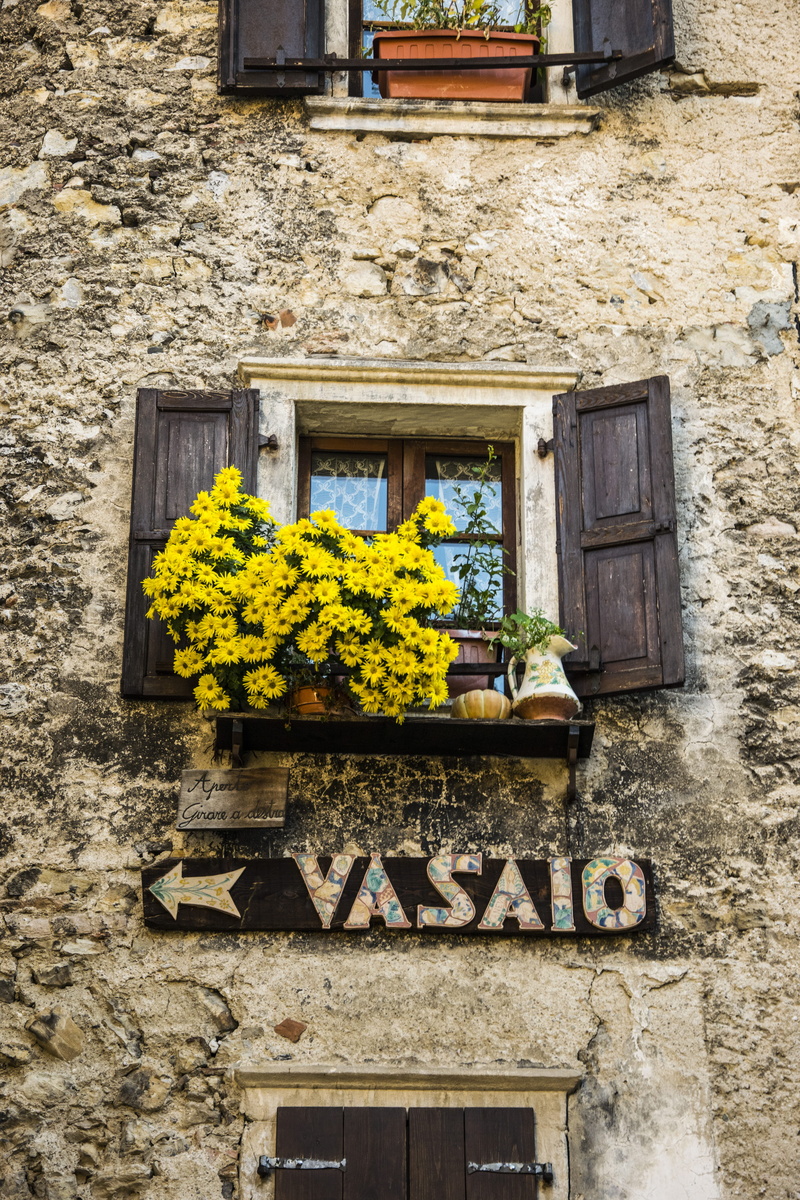 text, wall, vasaio, flowering plant, plant, western script, architecture, stone wall, flower, building exterior, growth, trentino, built structure, window