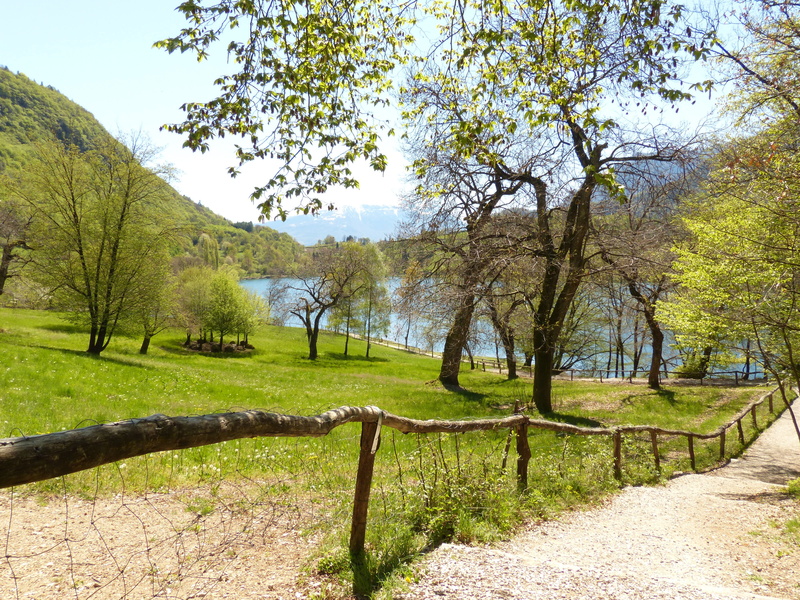 landscape, outdoors, plant, railing, idyll, land, beauty in nature, grass, day, trail, non-urban scene, green color, no people, tree, tranquil scene, path