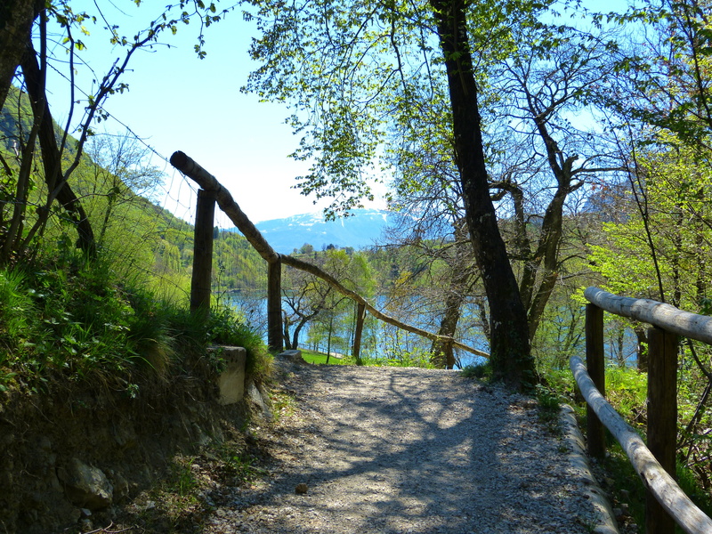 away, trees, nature, outdoors, tranquil scene, tenno lake, diminishing perspective, scenics, tranquility, footpath, footbridge, mountains, trail, sunny