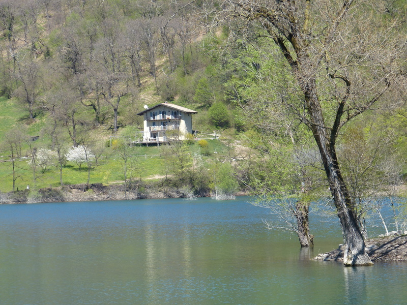 lonely, scenics - nature, tree, tenno lake, non-urban scene, waterfront, 4K, building exterior, building, hut, nature, water, beauty in nature, plant
