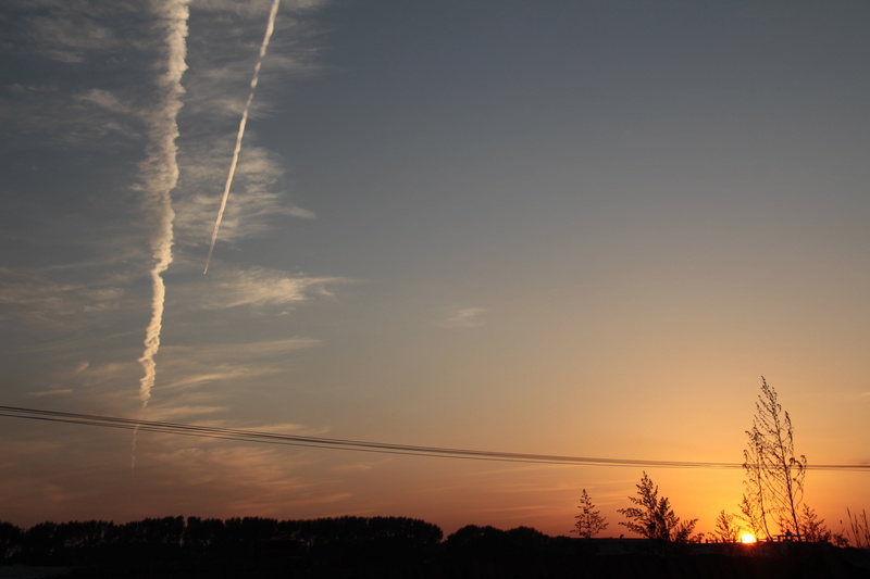 plant, beauty in nature, power line, connection, cable, telephone line, vapor trail, life, sky, technology, tree, power supply, 5K, fall xia, electricity pylon