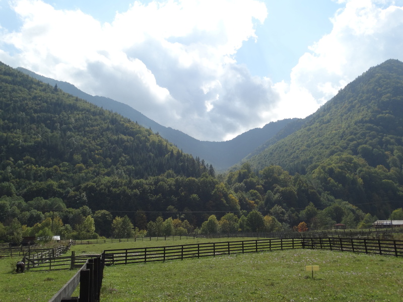 outdoors, plant, idyllic, scenics - nature, nature, mountain range, land, laffey, 5K, tranquility, vrancea, non-urban scene, growth, cloud - sky, tranquil scene