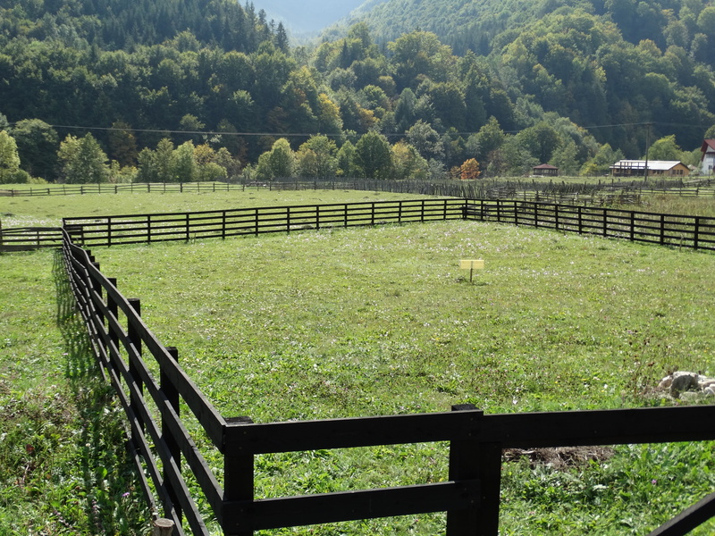 field, tranquil scene, nature, tranquility, green color, grass, outdoors, no people, tree, mountain, scenics - nature, land, fence, 5K, landscape, plant