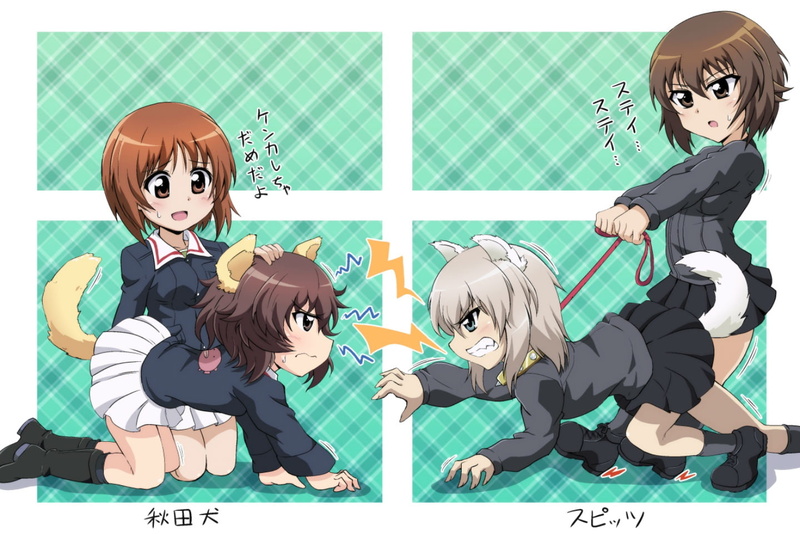 blush, robotninja, itsumi, skirt, und, kneehighs, 720P, short, hair, erika, blue, gray, brown, animal, ears, panzer, girls, socks, boots, tail, seifuku