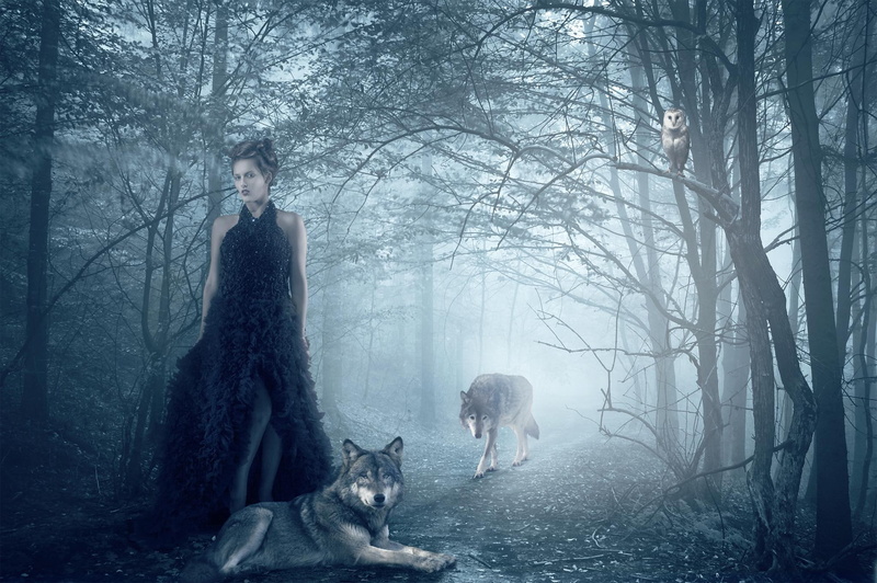 girl, isadora, wolf, owl, forest, wolves, goth, vilarim, 1080P, loli, mood, gothic