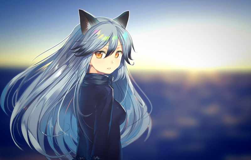 Silver Fox (Kemono Friends), 1080P, Anime, Kemono Friends