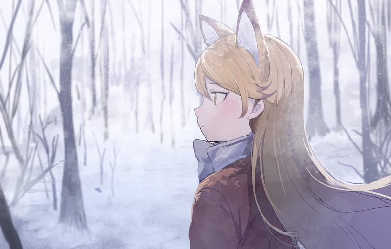 Kemono Friends, Anime, 1080P, Ezo Red Fox (Kemono Friends)