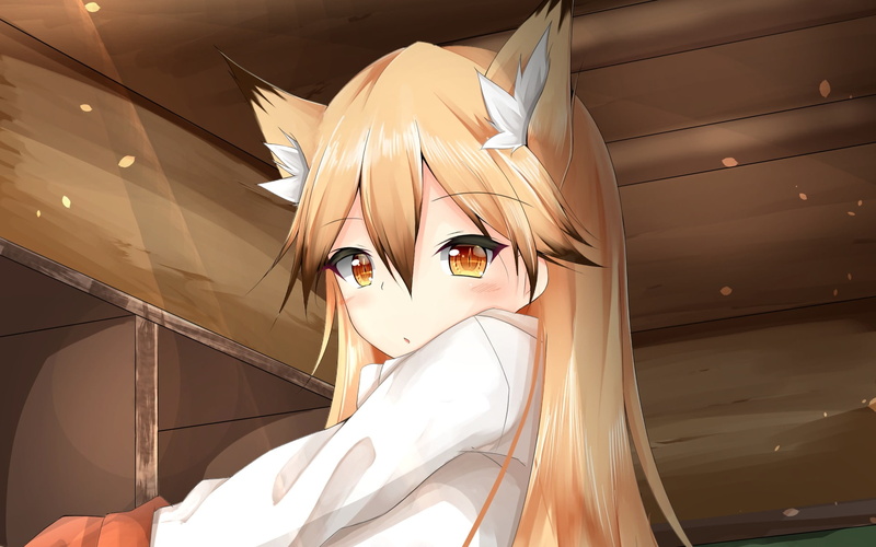 Ezo Red Fox (Kemono Friends), Kemono Friends, 1080P, Anime