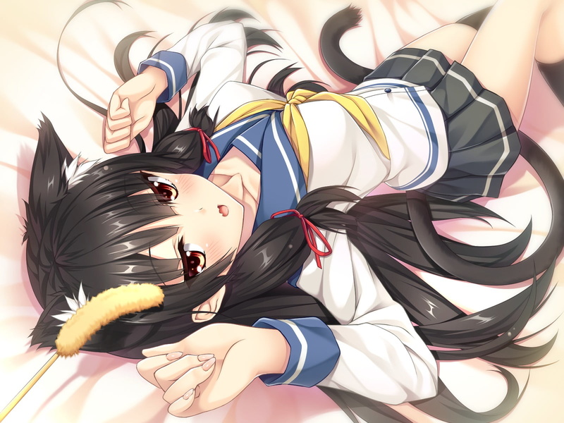 anime, multi colored, black color, nekomimi, day, Kantai Collection, real people, high angle view, anime girls, costume, long hair, celebration, people