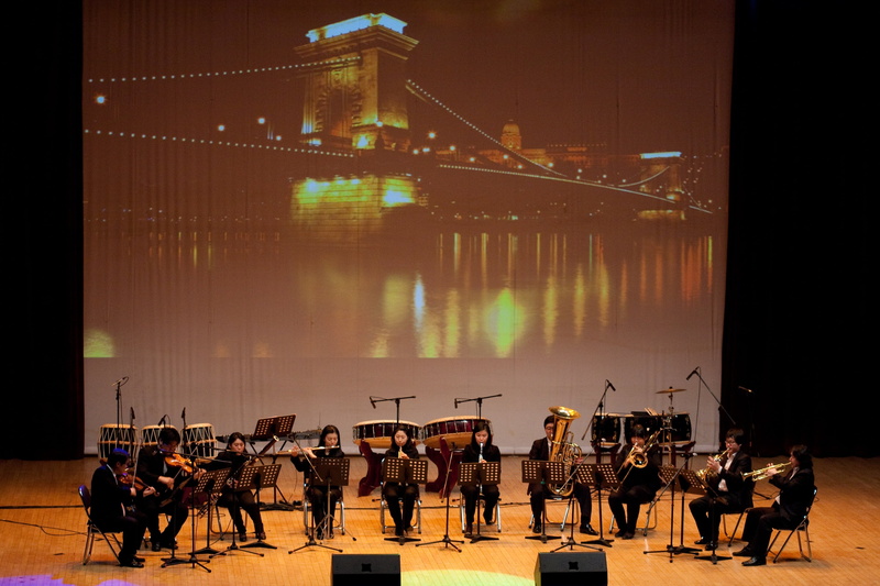 guitar, performance, string instrument, artist, musician, crowd, people, arts culture and entertainment, stage, stage light, real people, built structure