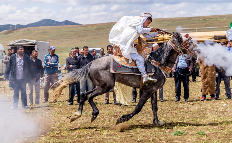 domestic animals, horse, ras el oued, crowd, horseback riding, group of people, working animal, livestock, animal wildlife, real people, wedding, domestic