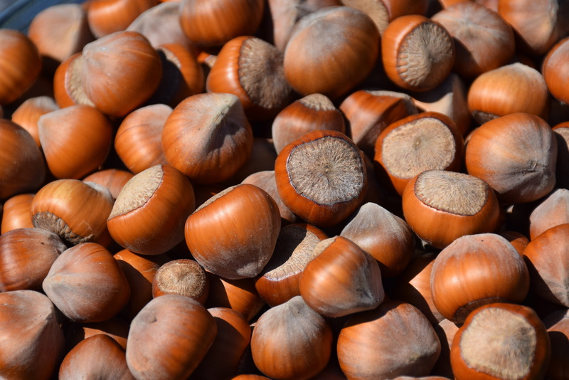 close-up, chestnut - food, backgrounds, full frame, 4K, high angle view, hazel, wellbeing, still life, day, freshness, fruit, nuts, abundance, nut - food