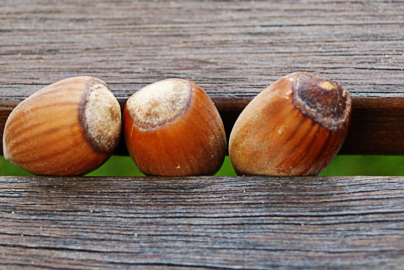 side by side, fruit, hazelnuts, no people, food, table, ready-to-eat, nut - food, wood - material, healthy eating, nut, high angle view, indoors, september