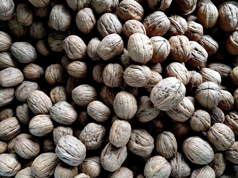 food, healthy eating, indoors, textured, backgrounds, detail, still life, abundance, close-up, nut, nuts, brown, large group of objects, full frame, freshness
