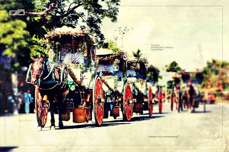 horses, x, 2K, philippines, dndesign, manila, art, intramuros, animals, hd