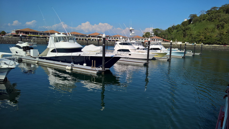 reflection, nature, no people, sunlight, waterfront, mode of transportation, enjoy, ship, day, plant, outdoors, yacht, harbor, city, yatch, sailboat, nautical vessel
