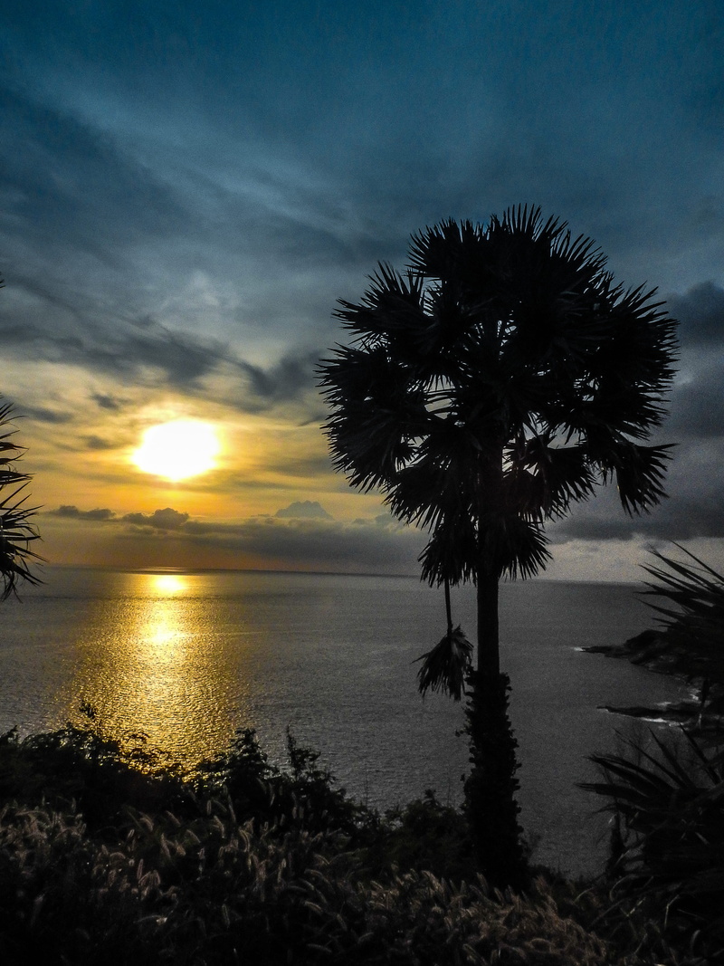 coconut palm tree, beach, outdoors, water, tranquility, no people, nature, land, phuket, thailand, sea, tranquil scene, scenics - nature, sky, beauty in nature