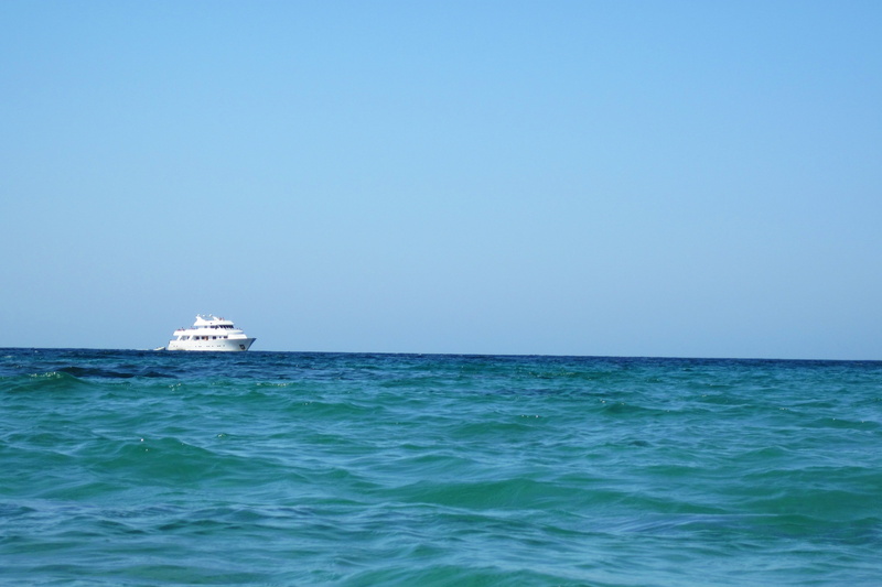 cruise ship, wave, sailing, blue, leisure, clear sky, outdoors, yachting, open, body, mode of transportation, boat, sailboat, vessel, transportation, passenger craft
