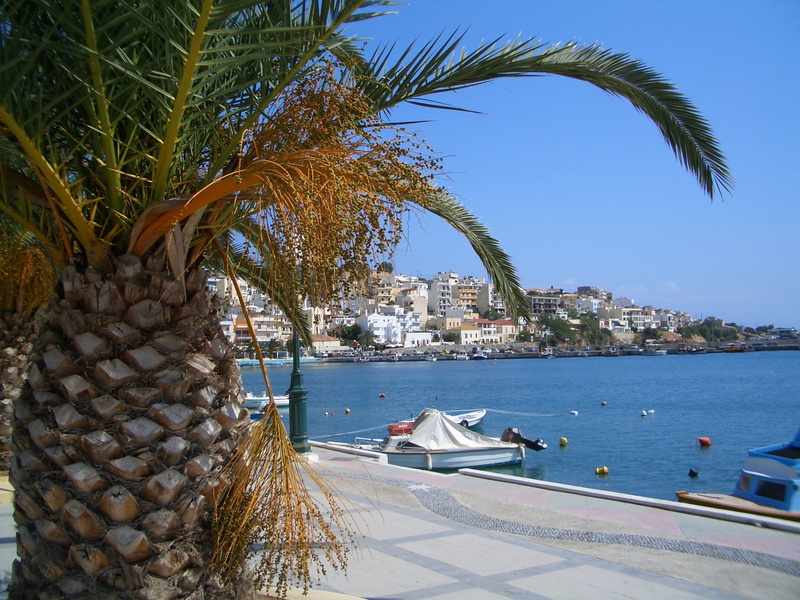 tree, Crete, mode of transportation, scenic, outdoors, cities, tourism, buildings, 1080P, palm plant, sitia, beach, structure, tropical Climate, Bay, outside