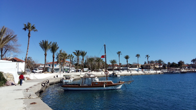 palm tree, palm trees, transportation, marina, turkey, plant, moored, 4K, side, mode of transportation, no people, sky, sea, architecture, outdoors, sailboat