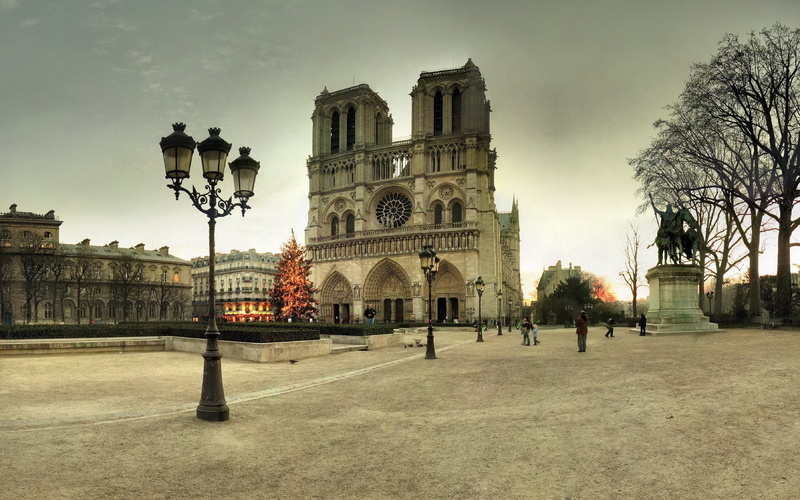 night, cathedral, lights, area, street, cultures, tree, plant, building, europe, town Square, monument, history, travel, architecture, new year, facade