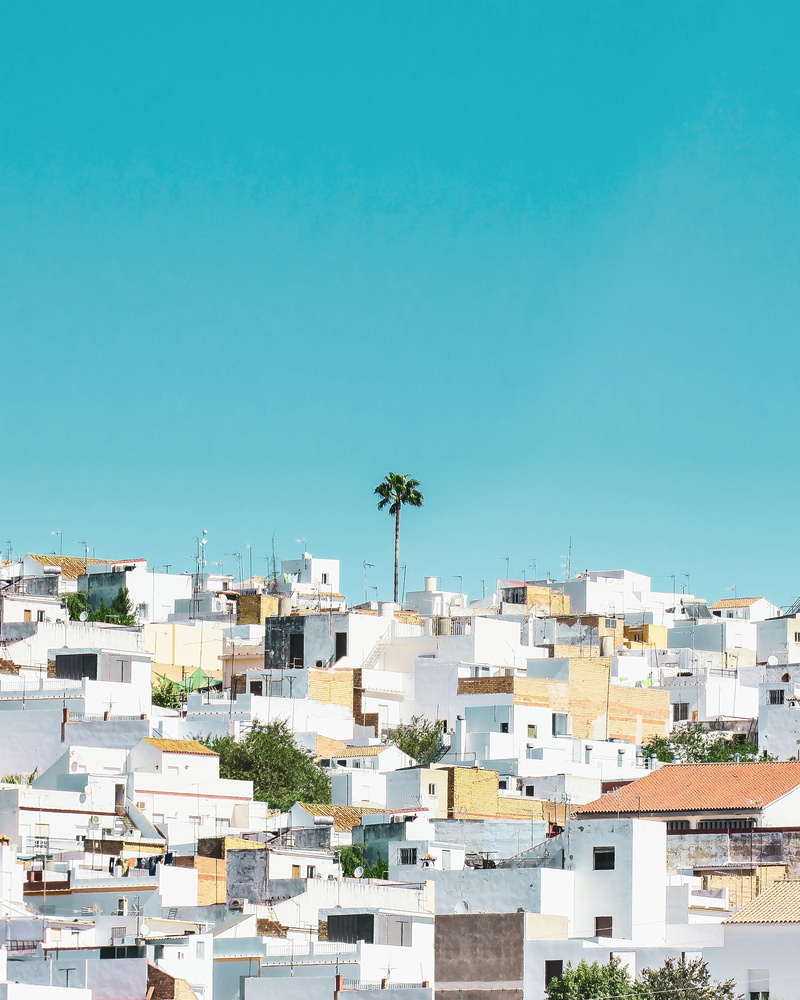 city, brown, residential District, tourism, europe, city photography, palm, mediterranean Countries, travel, roof, built Structure, spain, vacations, teal