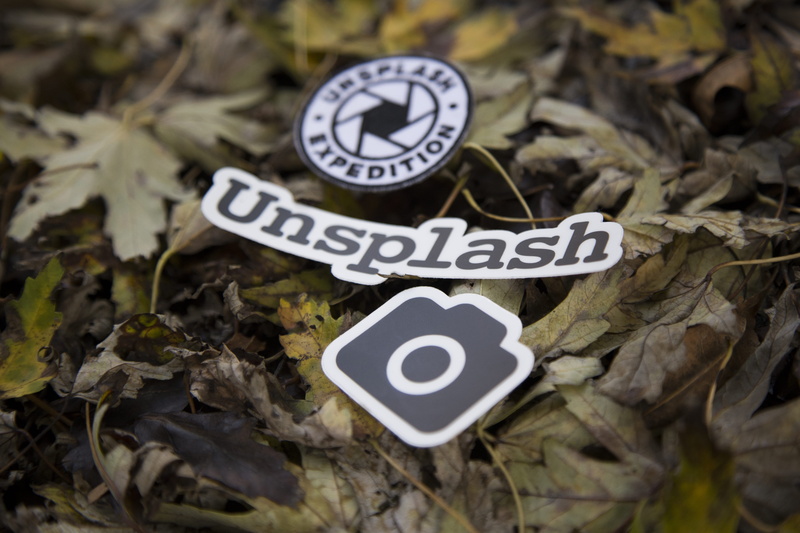 photography, no people, expedition, camera, leaf, day, information, building, close-up, leaves, stickers, wristwatch, number, architecture, clock tower