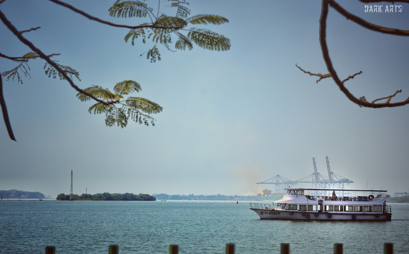 beauty in nature, branch, day, scenics - nature, tranquility, water, built structure, sea, marine, architecture, transportation, sky, yacht, tranquil scene
