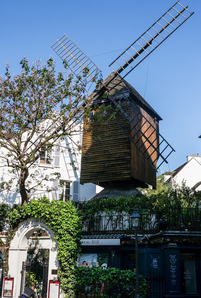 montmartre, growth, Paris, sky, Moulin Rouge, fuel and power generation, flower, Mill, flowering plant, plant, 1080P, building exterior, outdoors, low angle view