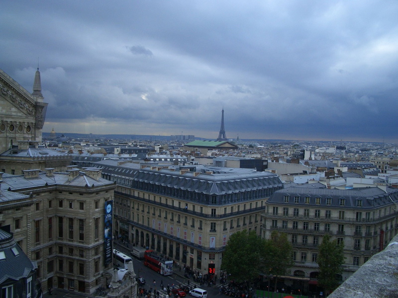 spire, government, 1080P, distant view, nature, sea of houses, outdoors, paris, homes, distance, building exterior, outlook, city, view, vision, day, distant