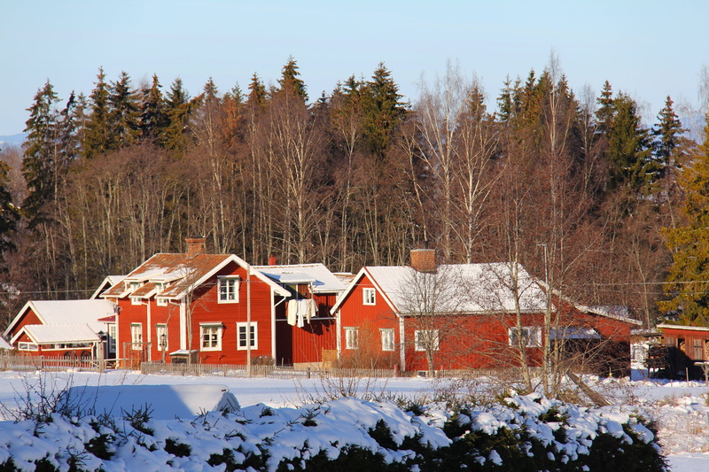 2K, snow, land, outdoors, scandinavia, charming, tourism, sky, travel, building exterior, cold temperature, plant, house, beautiful, red, tree, dalarna
