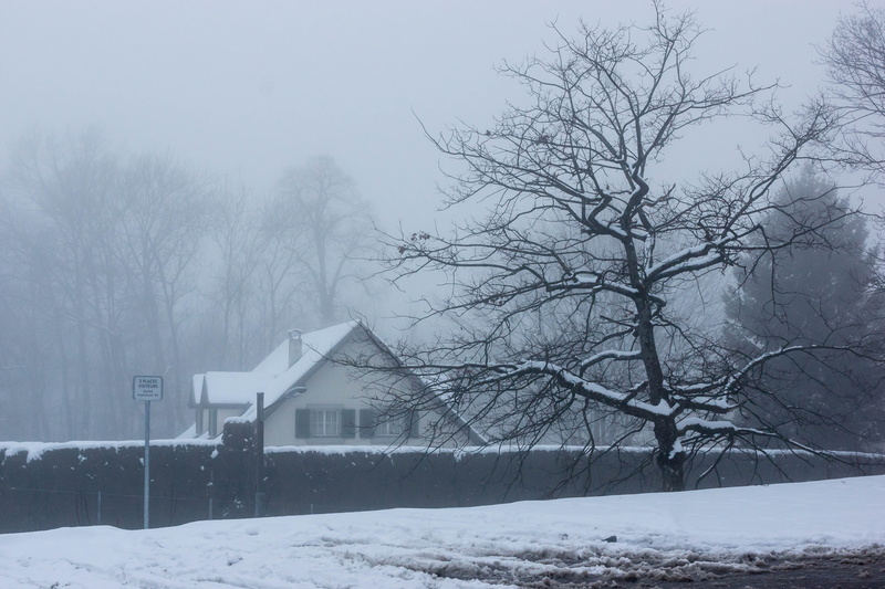 sky, weather, cold temperature, season, 5K, no people, snowy, nature, near, trees, snowing, land, woods, snow, ice, tranquil, building exterior, icy, blizzard