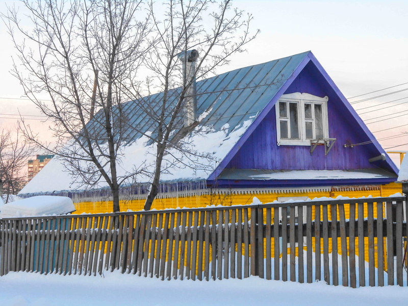 wood, no people, snow, nature, bare tree, 2K, in, shelter, yellow, plant, country, window, architecture, covered, rural, tree, countryside, day, ice, snowy