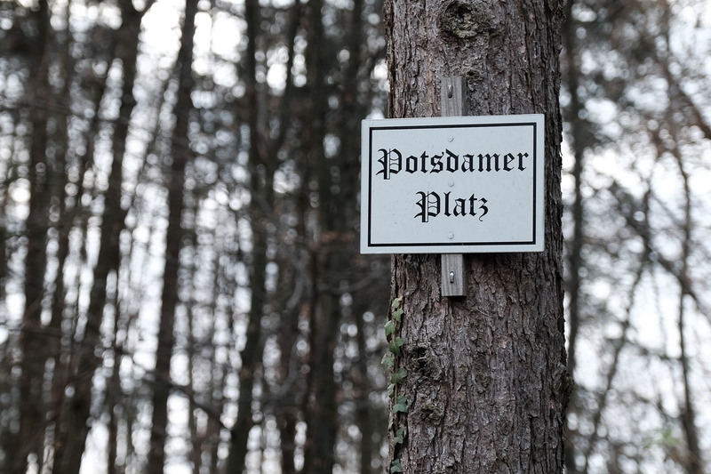 tree trunk, sign, trunk, close-up, day, plant, no people, focus on foreground, land, potsdamer platz, growth, information, text, guidance, information sign